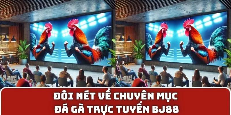 Đôi nét về chuyên mục đá gà trực tuyến BJ88