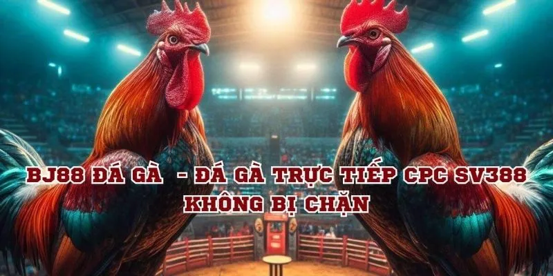 Giới thiệu đá gà BJ88